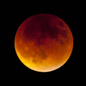 In September of 2015 there was a Lunar Eclipse of a super moon so I bought a 75-300mm lens with an image doubler attachment.